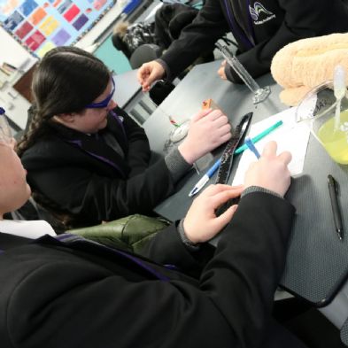 tsa_Year8Science (22)